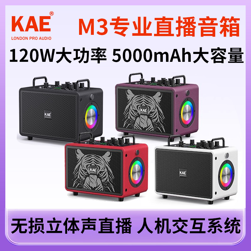 KAE-M3乐器弹唱音响 户外直播路演K歌数字大功率音箱