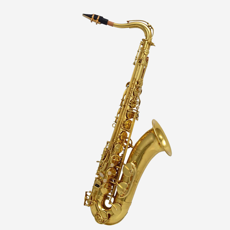 金音次中音萨克斯JYTS-E100G/E2000G普及款