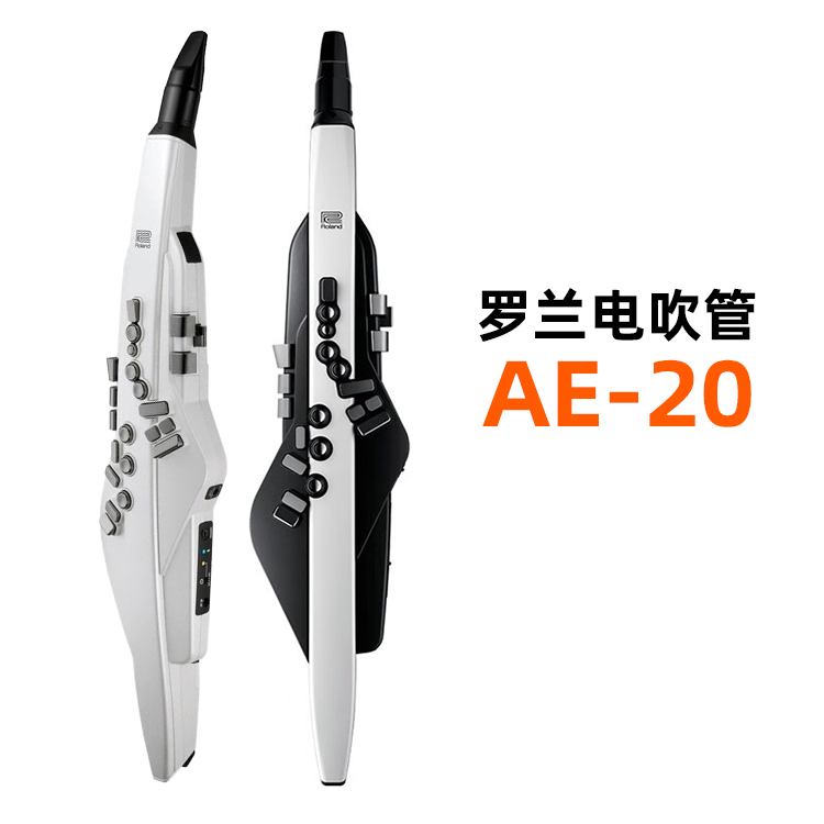 罗兰AE20电吹管