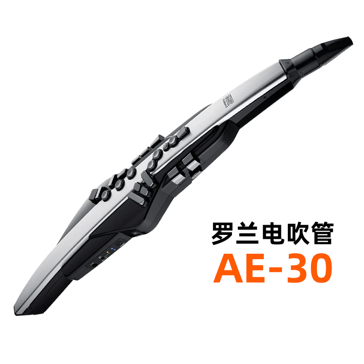 罗兰AE30电吹管